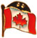 Canada Flag Gold Lapel Pin