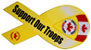 Support Our Troops magnet