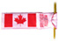 Canada Pride Ribbons