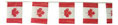 Canada Flag Pennant