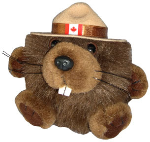Canada RCMP Beaver wearing a mountie hat